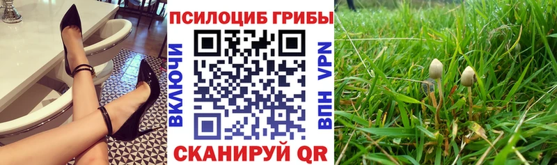 как найти закладки  Амурск  Галлюциногенные грибы ЛСД 